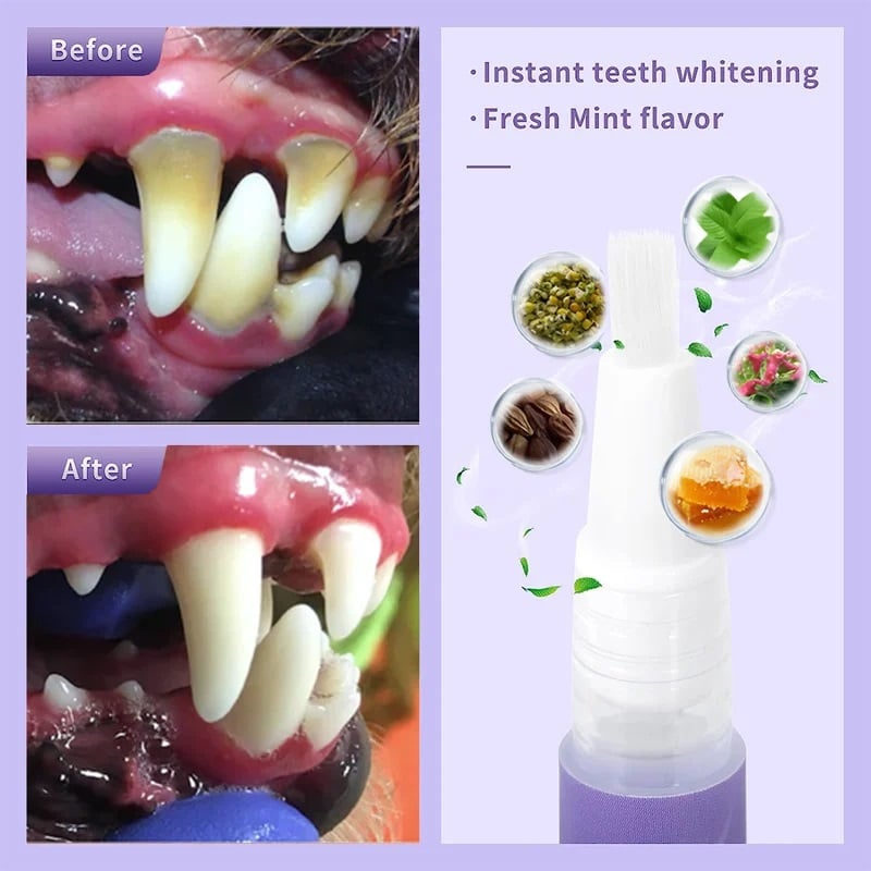Pet Product News' "Best in Show" Awards - Pet Oral Repair Gelš¦·