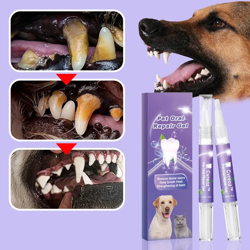 Pet Product News' "Best in Show" Awards - Pet Oral Repair Gelš¦·