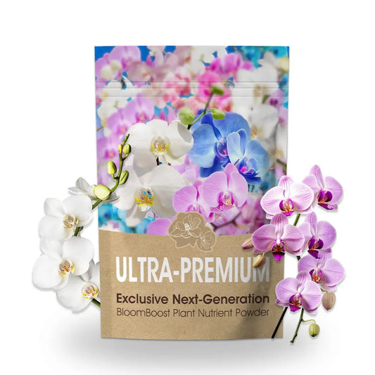 Last Day Discount 🌸 Exclusive Next-Generation BloomBoost Plant Nutrient Powder – A rare breakthrough in the cultivation of flowering plants