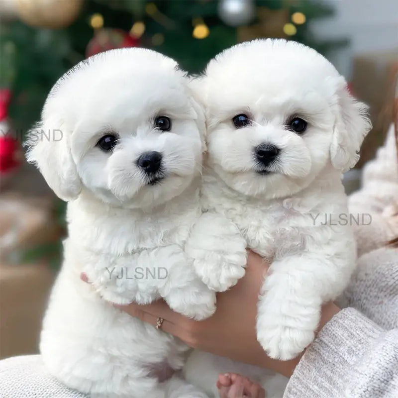 Yovot™ My Realistic Robot Puppy (Last Day to Save!)🐶