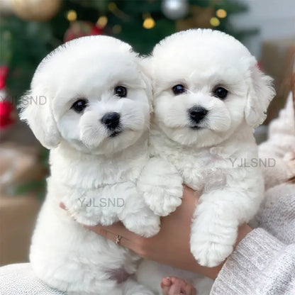 Yovot™ My Realistic Robot Puppy (Last Day to Save!)🐶