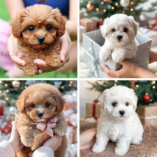 Yovot™ My Realistic Robot Puppy (Last Day to Save!)🐶