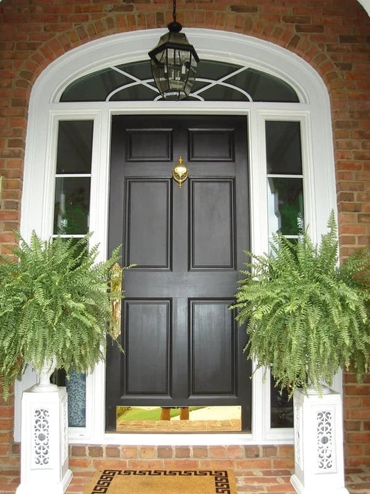 Last Day Discount：80% OFF UV Resistant Lifelike Artificial Boston Fern 🪴