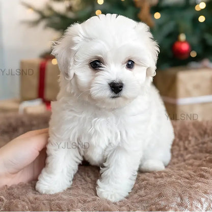 Yovot™ My Realistic Robot Puppy (Last Day to Save!)🐶
