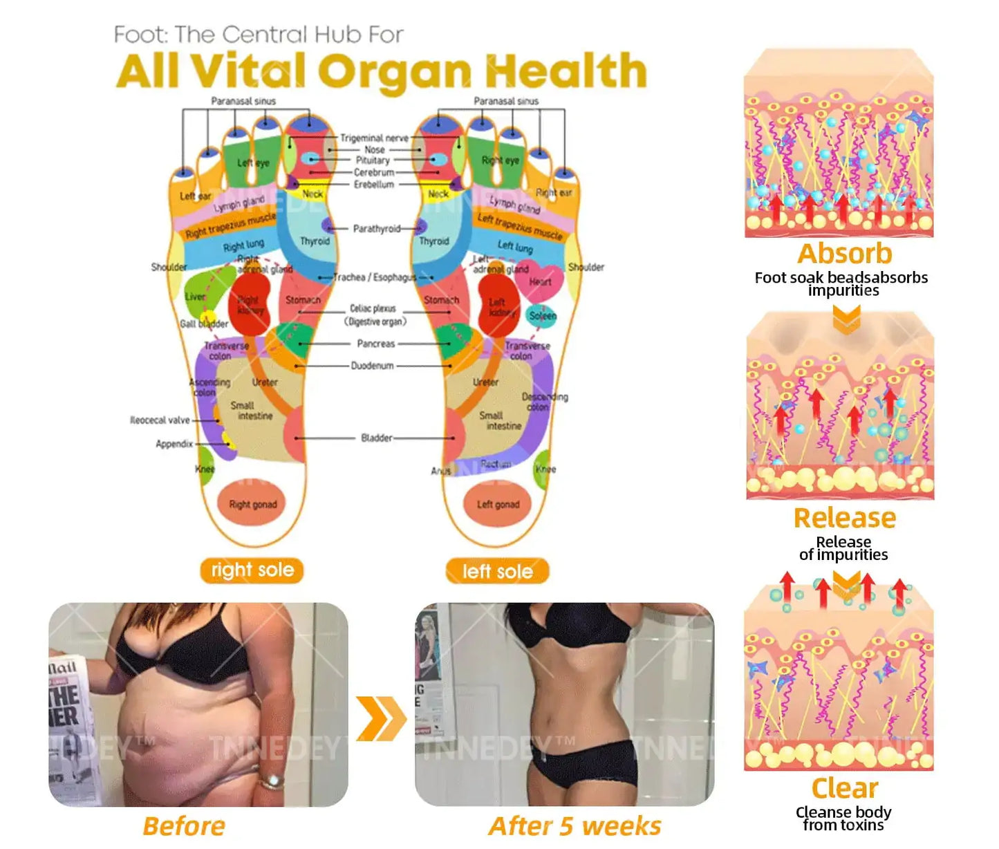 𝐋𝐚𝐬𝐭 𝐝𝐚𝐲 𝐭𝐨 𝐠𝐞𝐭 𝟕𝟎% 𝐎𝐅𝐅: 𝐓𝐧𝐧𝐞𝐝𝐞𝐲® 𝐁𝐞𝐞 𝐕𝐞𝐧𝐨𝐦 & 𝟑𝟎-𝐇𝐞𝐫𝐛 𝐃𝐞𝐭𝐨𝐱 𝐅𝐨𝐨𝐭 𝐒𝐨𝐚𝐤 𝐁𝐞𝐚𝐝𝐬 𝐟𝐨𝐫 𝐁𝐨𝐝𝐲 𝐒𝐜𝐮𝐥𝐩𝐭𝐢𝐧𝐠- Recommended by the America Lymphatic Academy (ALA) ⚡🏆