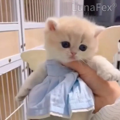LunaFex® Official Store】🔥 Flash Deal: 🐱LUNA & 🐶TOBY – Final Hours!