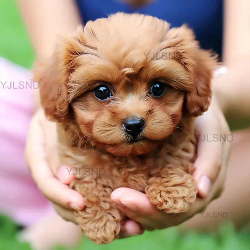 Yovot™ My Realistic Robot Puppy (Last Day to Save!)🐶