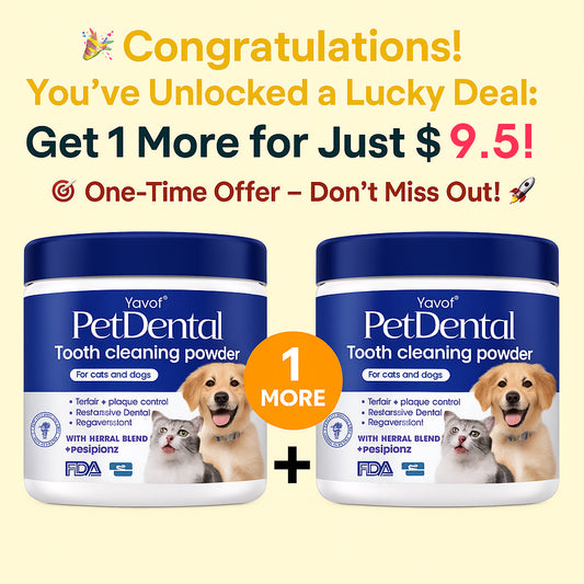🎉 Congratulations! You've Unlocked a Lucky Deal: Get 1 More for Just $9.5! 🎯 One-Time Offer – Don't Miss Out! 🚀