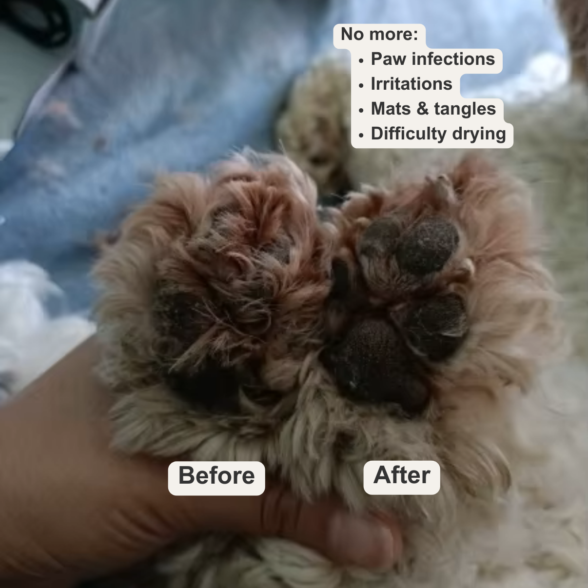 [Official Store] Last Day Discount: 70% OFF Yovot™ Pet Clippers：With ultrasonic cleaning and anti-inflammatory function🐾